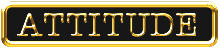 ATTITUDE Pin